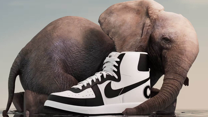 Image SPECIAL EDITION COMME DES GARCONS X NIKE TERMINATOR HIGH