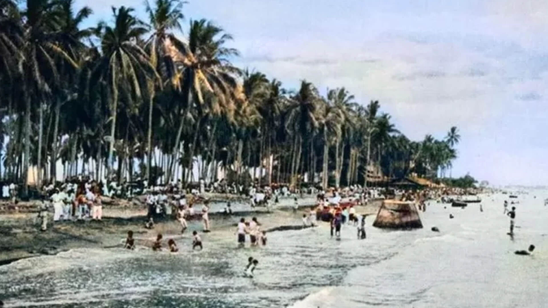 Image YANG PERLU LO TAU DARI CILINCING PALM BEACH